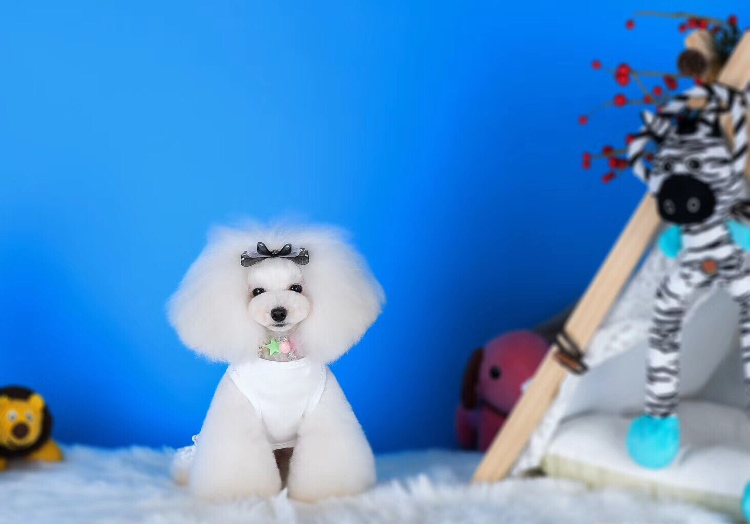 ˌﲿӖWУ